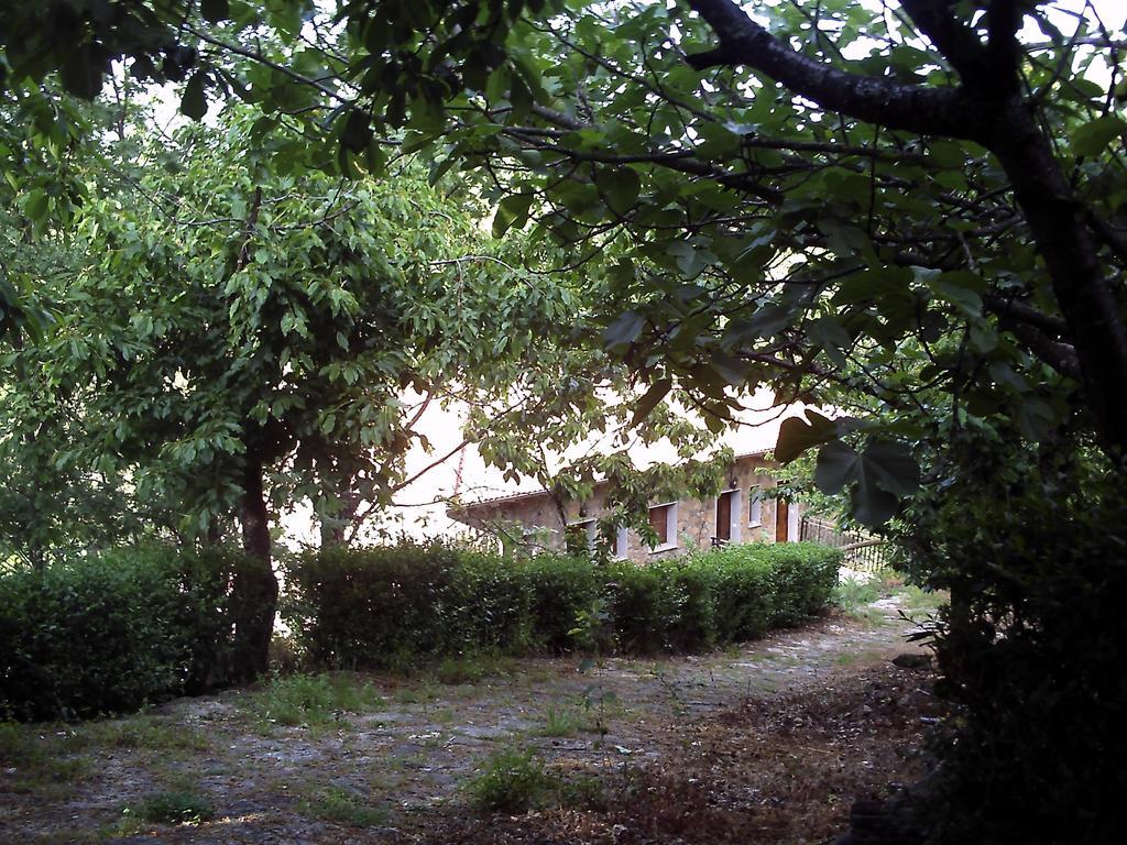 Apartamentos Condado De Miranda Miranda del Castanar Bagian luar foto